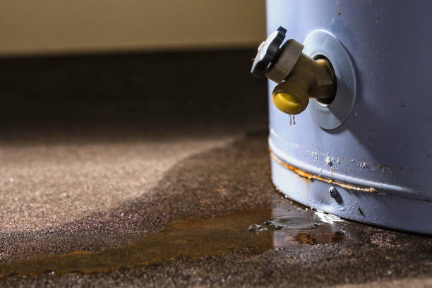 Hayesville, OR Water damage restoration Company