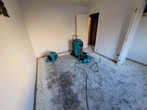 Best Residential water damage restoration  in Hayesville, OR
