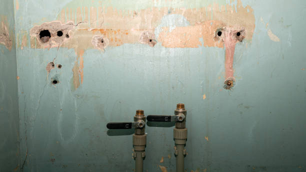 Best Flood damage cleanup  in Hayesville, OR