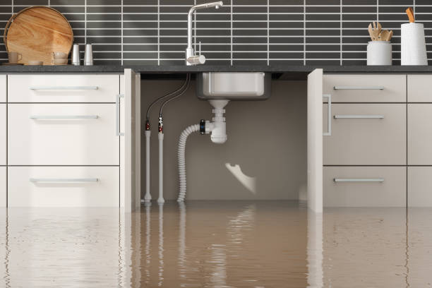 Best Water damage restoration near me  in Hayesville, OR