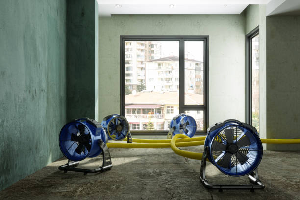 Best Ceiling water damage repair  in Hayesville, OR